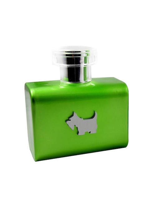 Eau de toilette Ferrioni Terrier De Ferrioni Eau para mujer