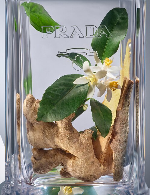 Eau de toilette Prada L'Homme para hombre 6