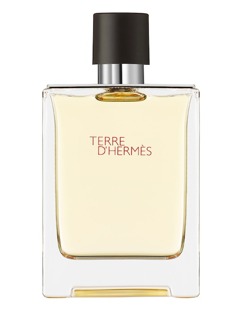Eau de toilette Terre d'Hermès para hombre 1