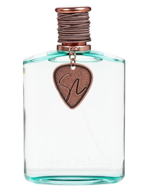 shawn mendes perfume 100ml