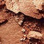 GOLD DEPOSIT 2