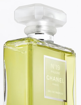 CHANEL N°19 POUDRÉ