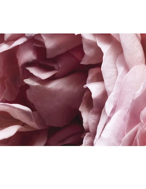 Eau de parfum Nina Ricci L'Extase para mujer