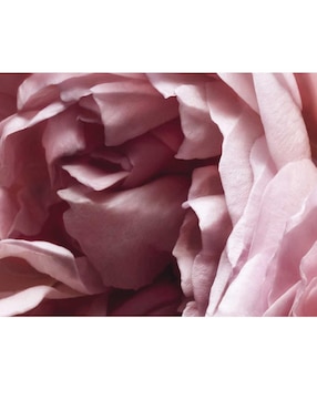 Eau de parfum Nina Ricci para mujer