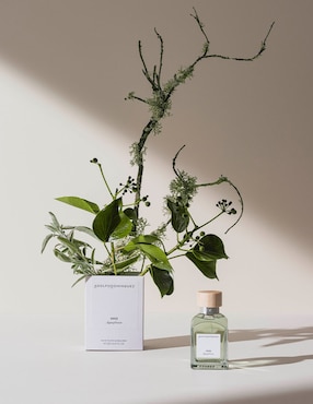 Eau de toilette Adolfo Dominguez Agua Fresca para hombre