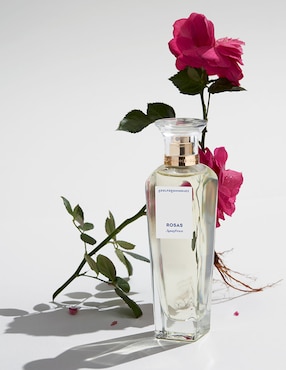 Eau de toilette Adolfo Dominguez Agua Fresca De Rosas para mujer