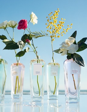 Eau de toilette Adolfo Dominguez Agua Fresca De Rosas para mujer