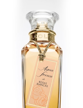 Eau de toilette Adolfo Dominguez Agua Fresca De Rosas Blancas para mujer