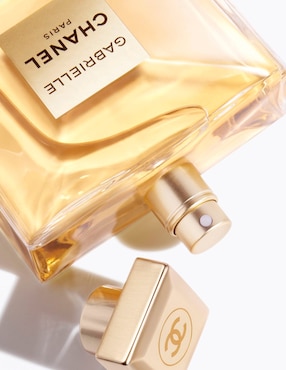 CHANEL GABRIELLE CHANEL