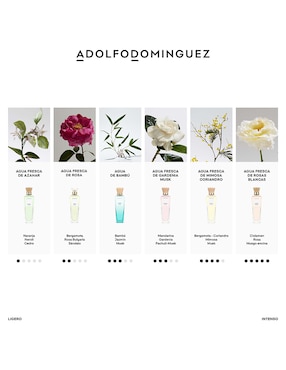 Eau de toilette Adolfo Dominguez Agua de Bambú para mujer