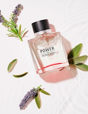 Eau de toilette Antonio Banderas Power of Seduction para hombre