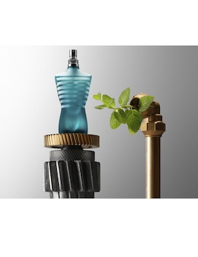 Eau de toilette Jean Paul Gaultier Le Male para hombre