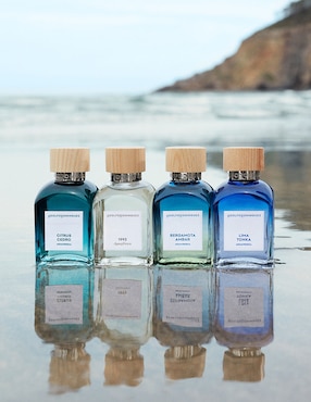 Eau de toilette Adolfo Dominguez Citrus Cedro para hombre