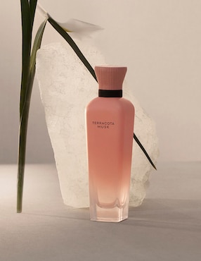 Eau de parfum Adolfo Dominguez Terracota Musk para mujer