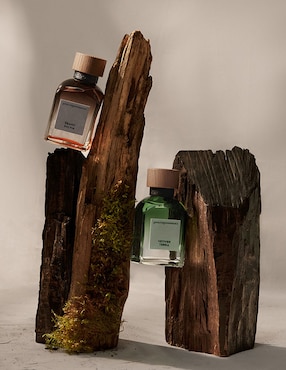 Eau de toilette Adolfo Dominguez Vetiver Terra para hombre