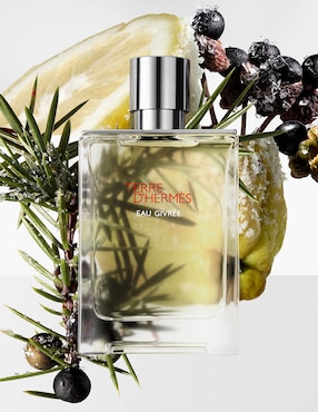 Eau de parfum Hermès Terre d'Hermès Eau Givrée para hombre