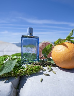 Eau de toilette Jimmy Choo Man para hombre