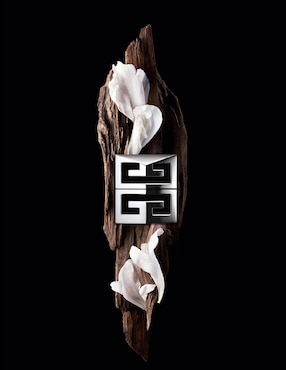 Desodorante axilas en aerosol Givenchy Gentleman society para hombre