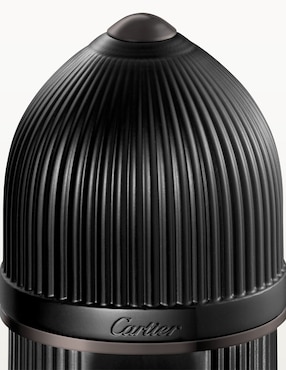 Perfume Cartier Pasha para hombre