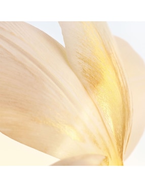 Eau de parfum Dior J'adore L'or para mujer