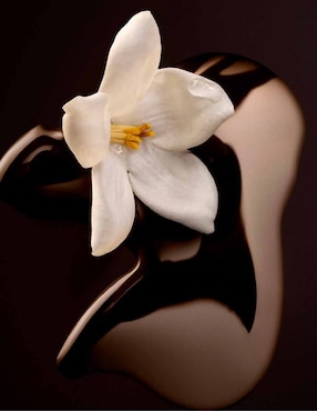 Eau de parfum Hugo Boss The Scent para mujer