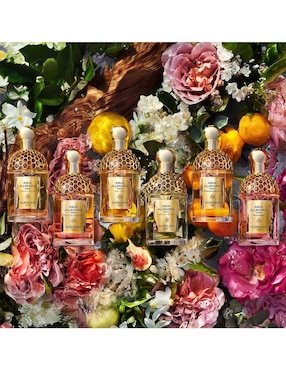Eau de parfum Guerlain Aqua Allegoria Bosca Vainilla unisex