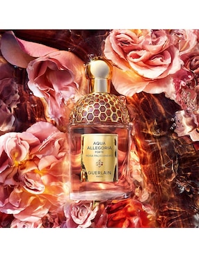 Eau de parfum Guerlain Aqua Allegoria Rosa Palissandro unisex