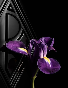 Perfume Polo Ralph Lauren Ralph's Club Elixir para hombre