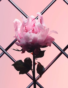 Eau de parfum Givenchy Irresistible Very Floral para mujer