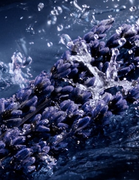Perfume Yves Saint Laurent Y L'elixir para hombre
