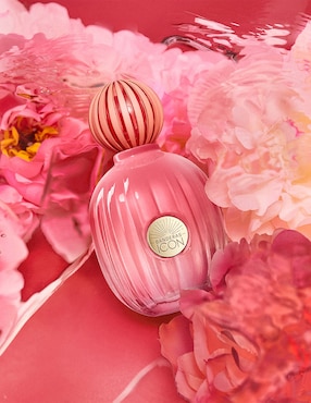 Eau de parfum Antonio Banderas The Icon Splendid para mujer