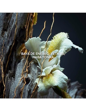 Perfume Guerlain Vetiver para hombre