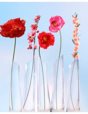 Eau de parfum Kenzo Flower Ikebana Mimosa para mujer
