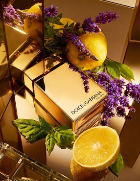 Eau de parfum Dolce&Gabbana The One For Men para hombre
