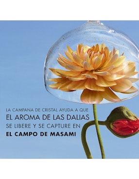 Eau de parfum Kenzo Flower La Récolte Parisienne para mujer