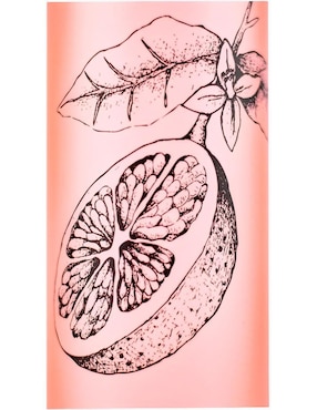 Body mist Gallery Sweet Tonic para mujer
