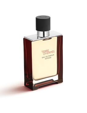 Eau de parfum Hermès Terre D’Hermès Intense para hombre