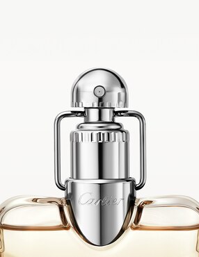 Eau de parfum Carter Declaration para hombre