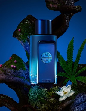 Eau de parfum Banderas The Icon Supreme para hombre