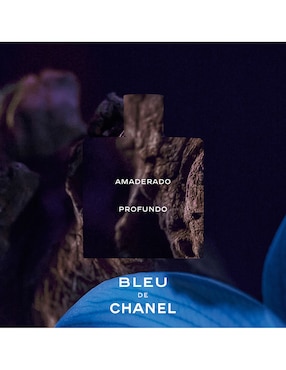 CHANEL BLEU DE CHANEL