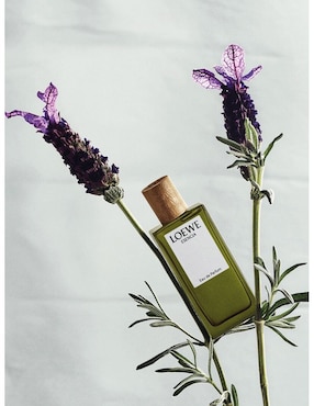 Eau de parfum Loewe para mujer
