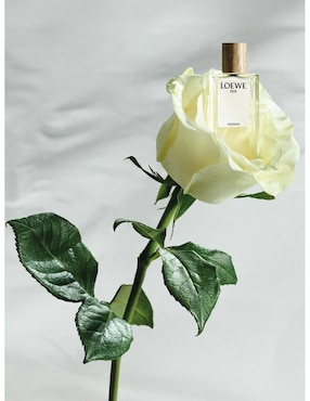 Eau de parfum Loewe para mujer