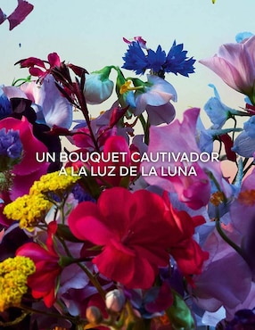Eau de parfum Guerlain Absolu Allegoria unisex