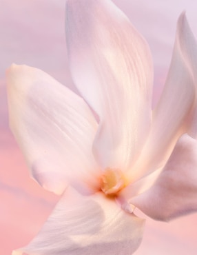 Eau de parfum Lancôme La vie est belle para mujer