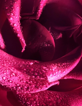 Eau de parfum Rolf Flowerbomb para mujer
