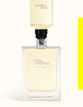 Eau de parfum Hermès Terre D'Hermès para hombre