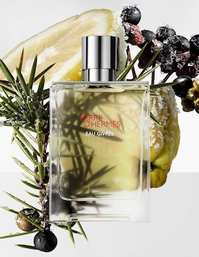 Eau de parfum Hermès Terre D'Hermès para hombre