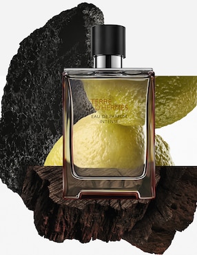 Eau de parfum Hermès Terre Intense para hombre