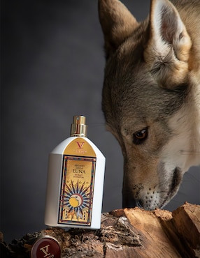 Extracto de perfume V Canto Arkano unisex