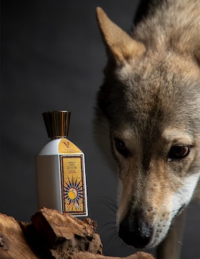 Extracto de perfume V Canto Arkano unisex